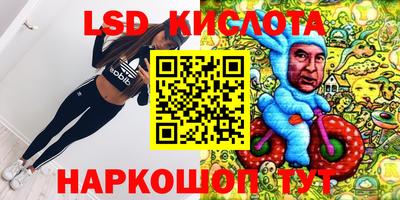 a pvp Камышлов