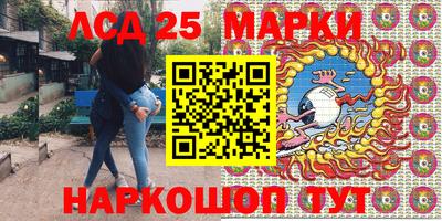 a pvp Камышлов