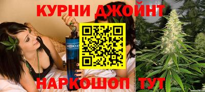 a pvp Камышлов