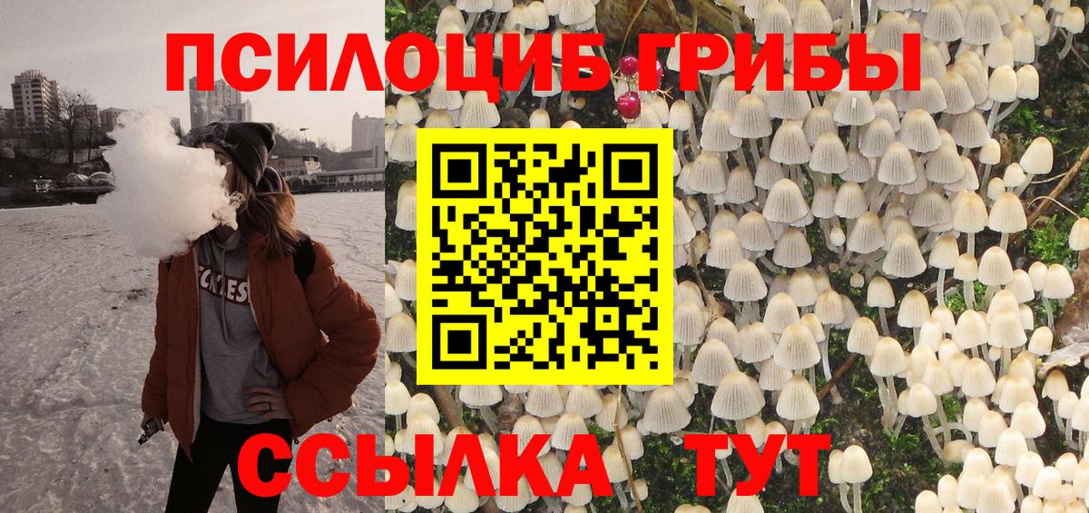 Псилоцибиновые грибы мицелий Тамбов