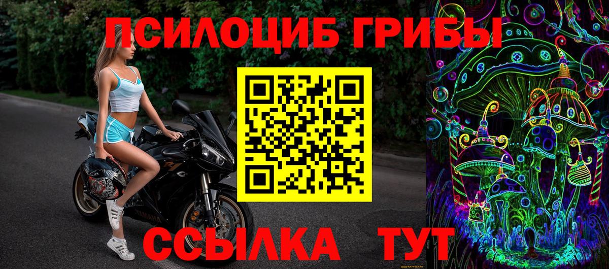 Галлюциногенные грибы Psilocybe  Вход с VPN  Галлюциногенные грибы Magic Shrooms  Тамбов 